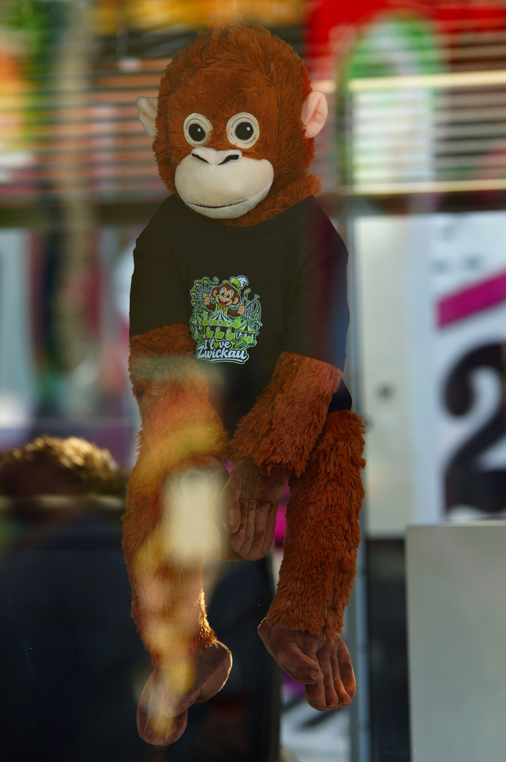 _DSC5284